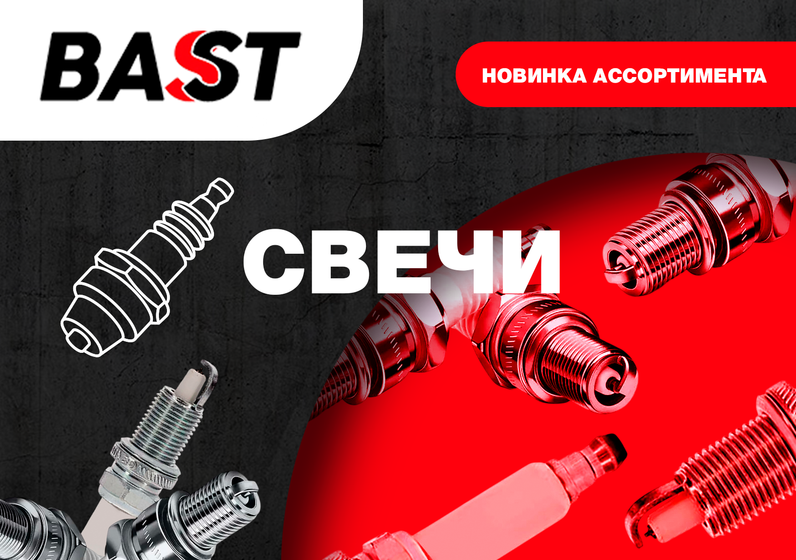 NEW! ����� BAST